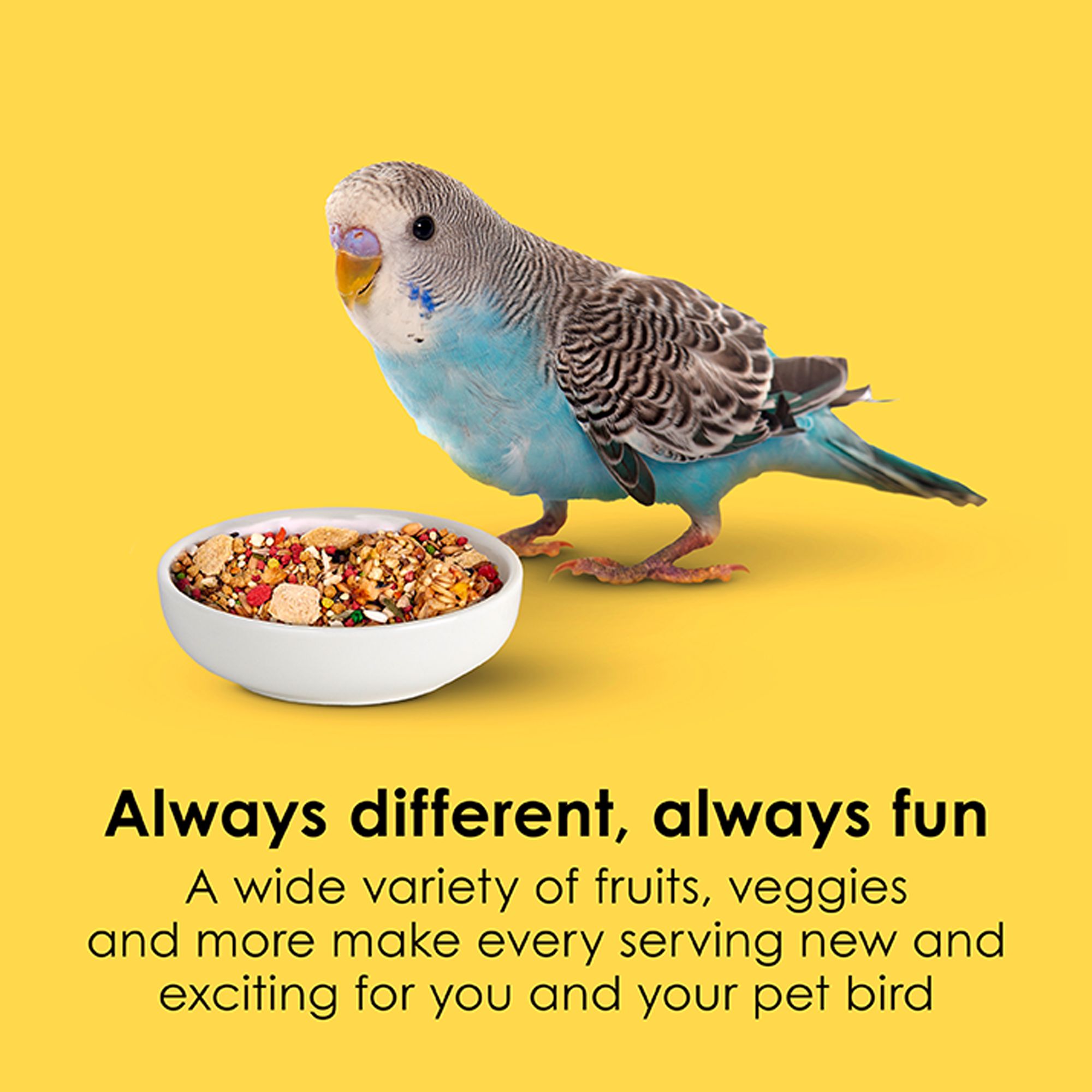 KAYTEE® Fiesta Max Parakeet Food - Seed Blend - thumbnail 3