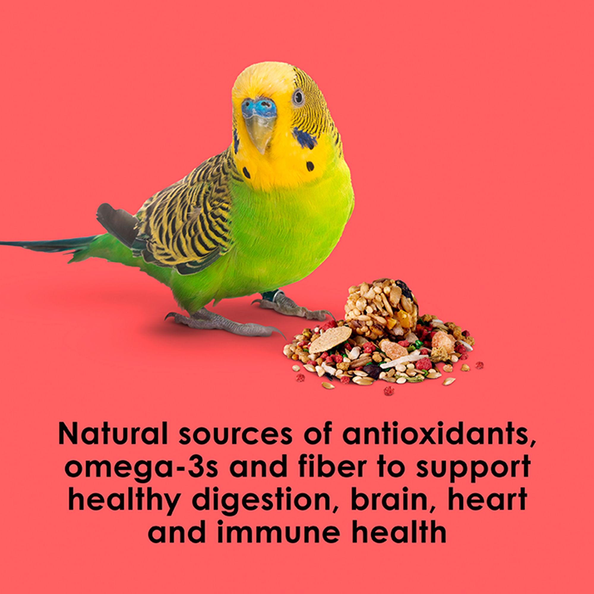 KAYTEE® Fiesta Max Parakeet Food - Seed Blend - thumbnail 6