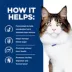 Hill's® Prescription Diet w/d Multi-Benefit Digestive/Weight/Glucose/Urinary Management Dry Cat Food image thumbnail 6