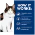 Hill's® Prescription Diet w/d Multi-Benefit Digestive/Weight/Glucose/Urinary Management Dry Cat Food image thumbnail 6