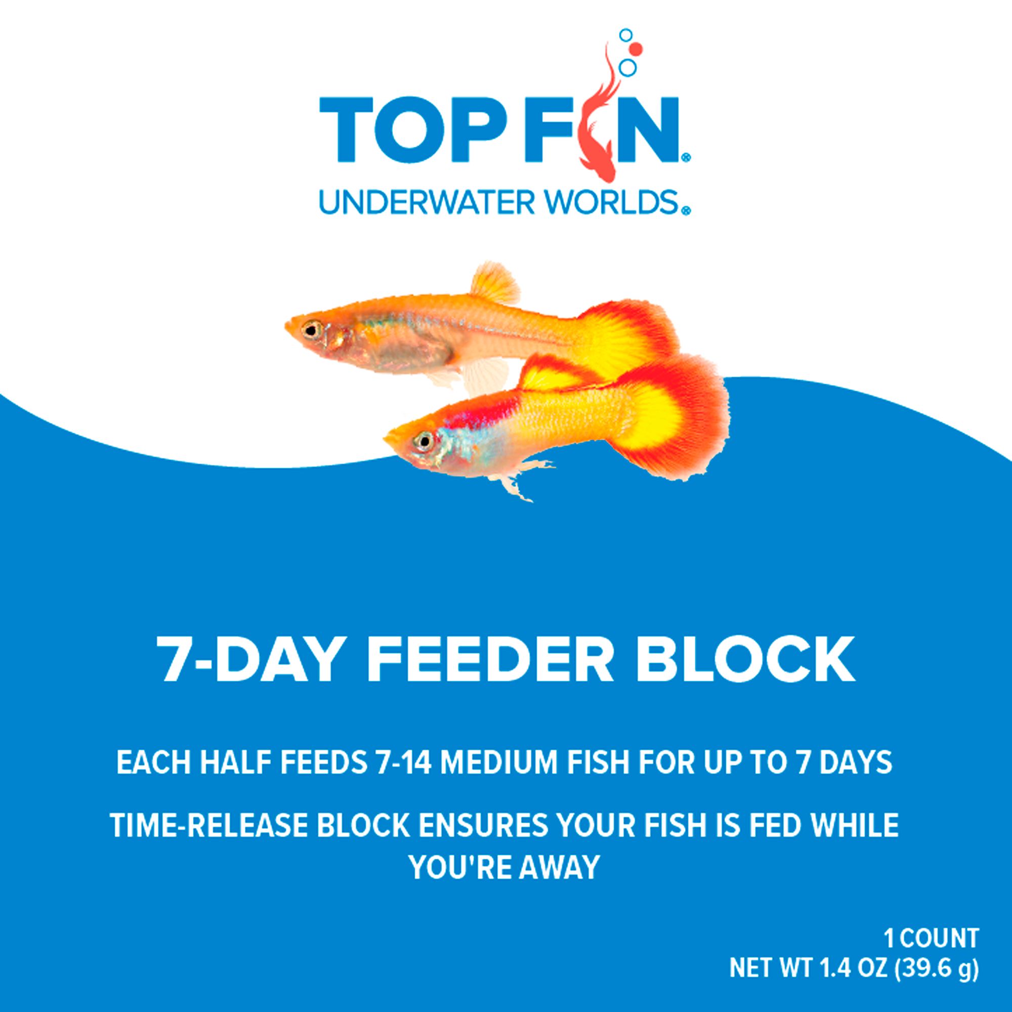 best of the fish accessories dfo FISHNOSH Automatic Feeder for Aquarium Everything you need Use a gaff to haul