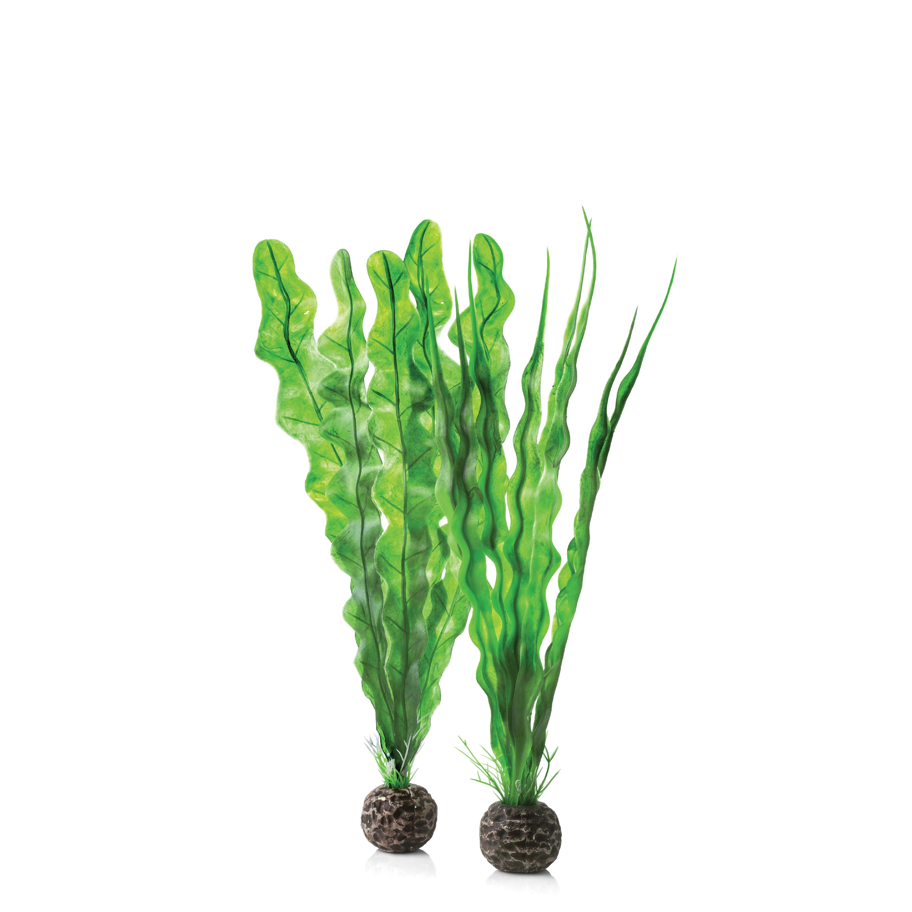 biOrb Easy Plant Set Medium Green