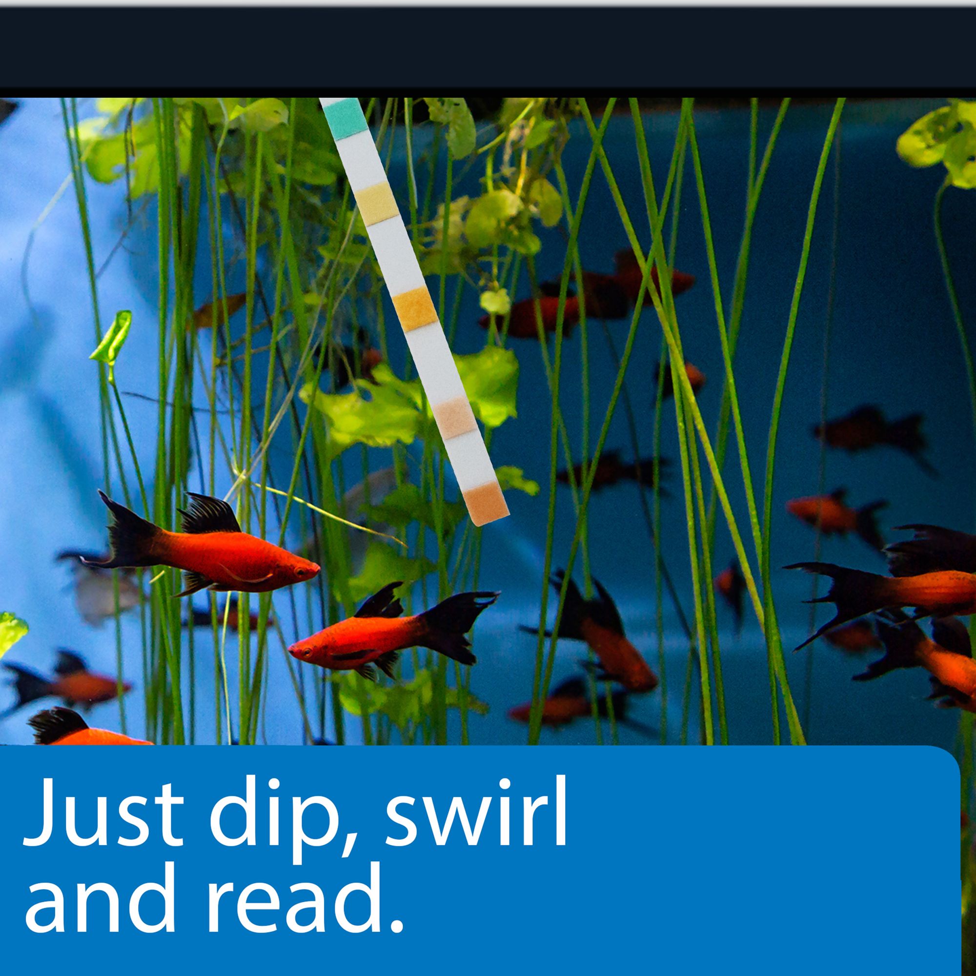API® 5 in 1 Aquarium Test Strips for Aquarium Water Testing - thumbnail 4
