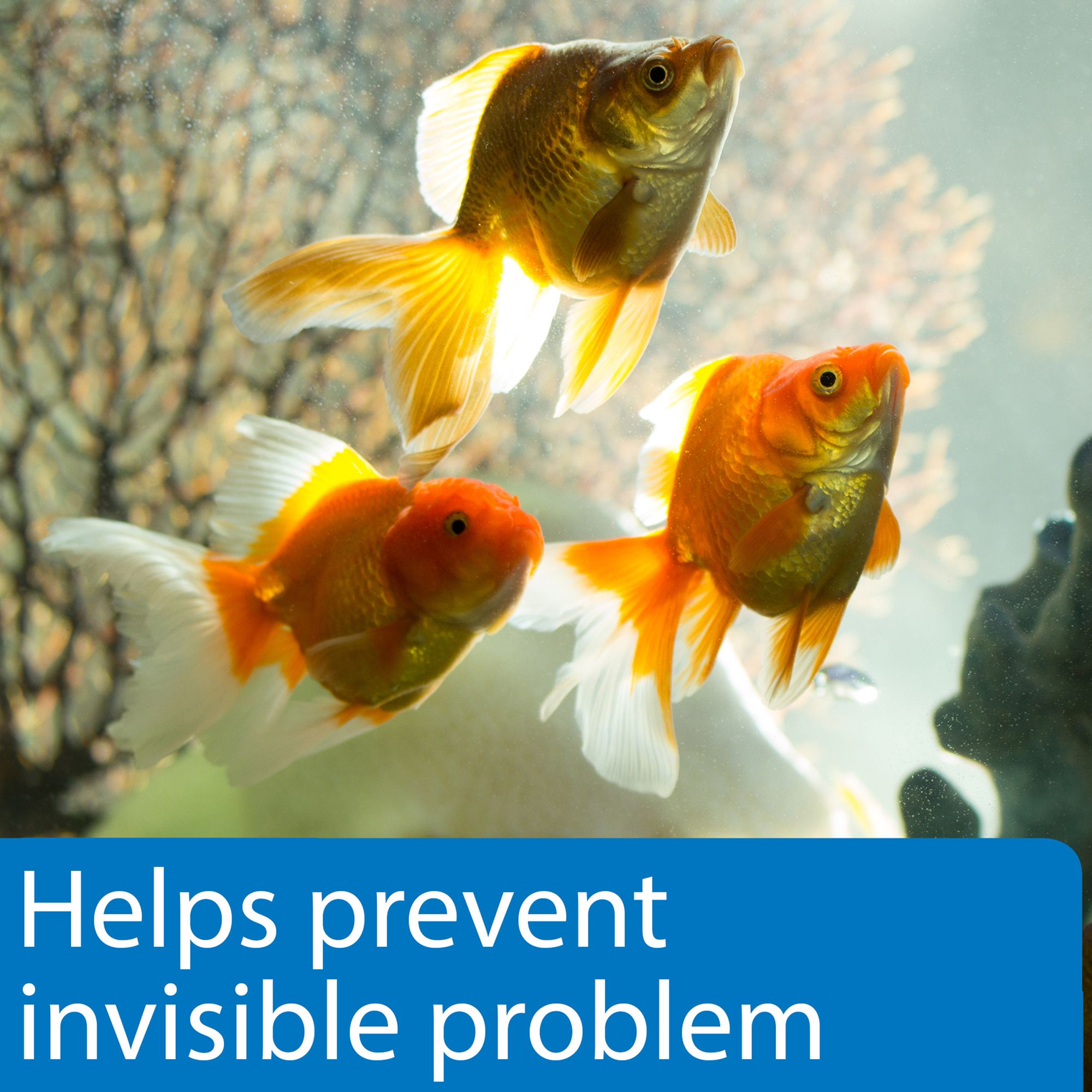API® 5 in 1 Aquarium Test Strips for Aquarium Water Testing - thumbnail 5