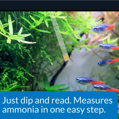 API® Aquarium Ammonia Test Strips for Aquarium Water Testing - Image 3