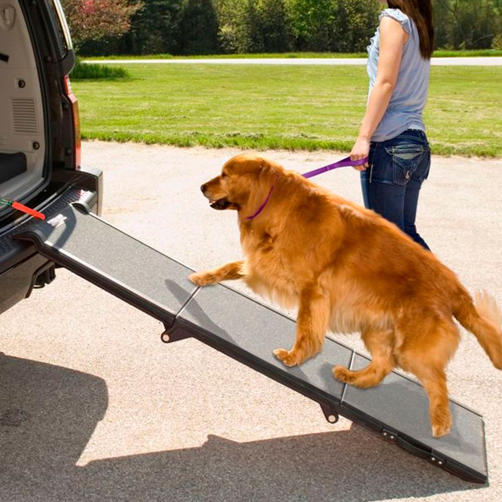 dog ramp for back door