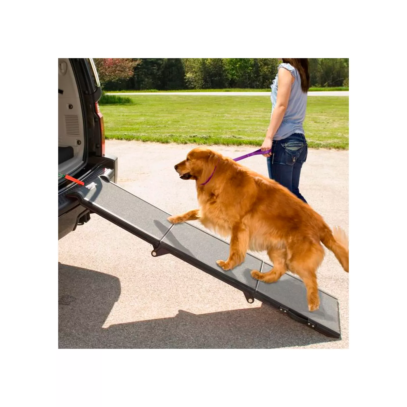 Pet Gear Tri Fold Pet Ramp