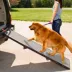 Pet Gear Tri-Fold Pet Ramp image thumbnail 1