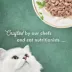 Fancy Feast® Medleys Adult Cat Wet Food - 3 OZ image thumbnail 4