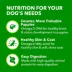 IAMS™ Proactive Health Puppy Wet Dog Food - Pate, 13 OZ image thumbnail 4
