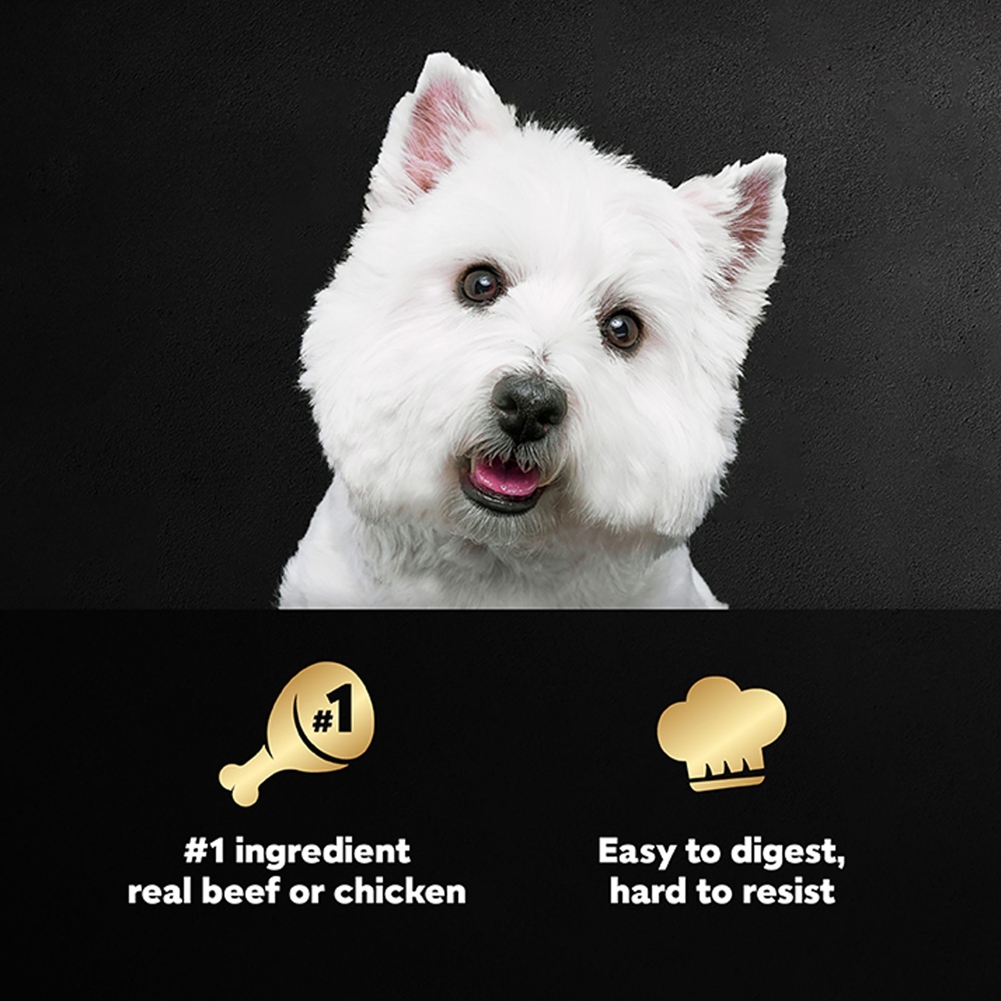 cesar dog food petsmart