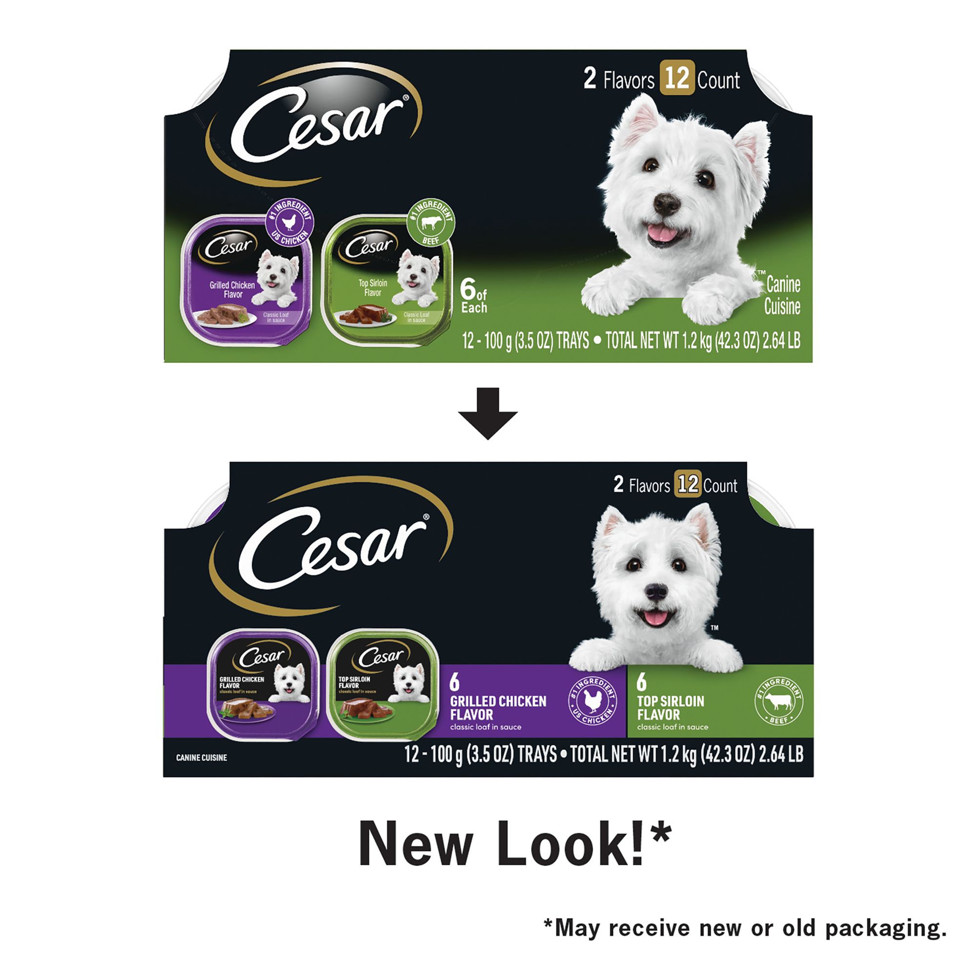 Cesar Classics Adult Wet Dog Food Loaf 12 Count Variety Pack