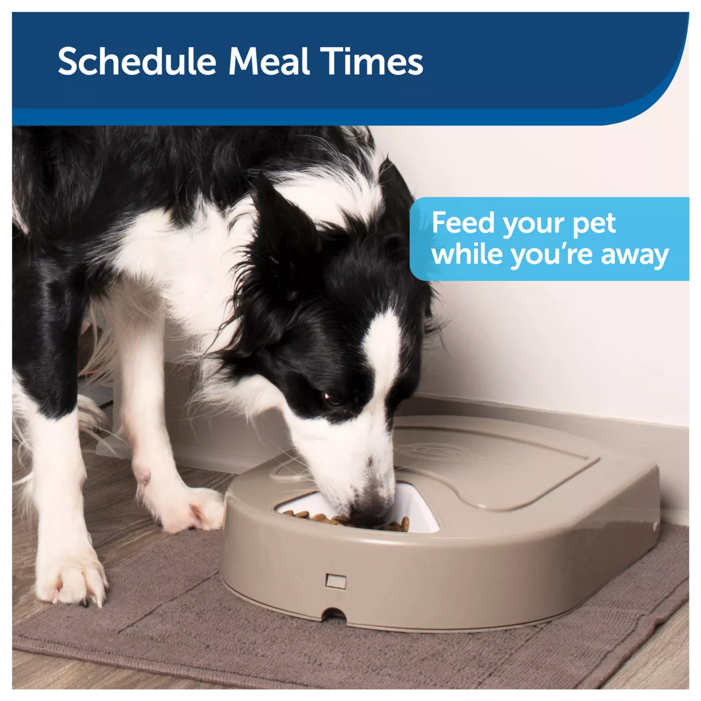 Product PetSafe® 5 Meal Pet Food Dispenser - Dry or Semi-Moist Pet Food - (5 Cup/40 Ounce Total Capacity)