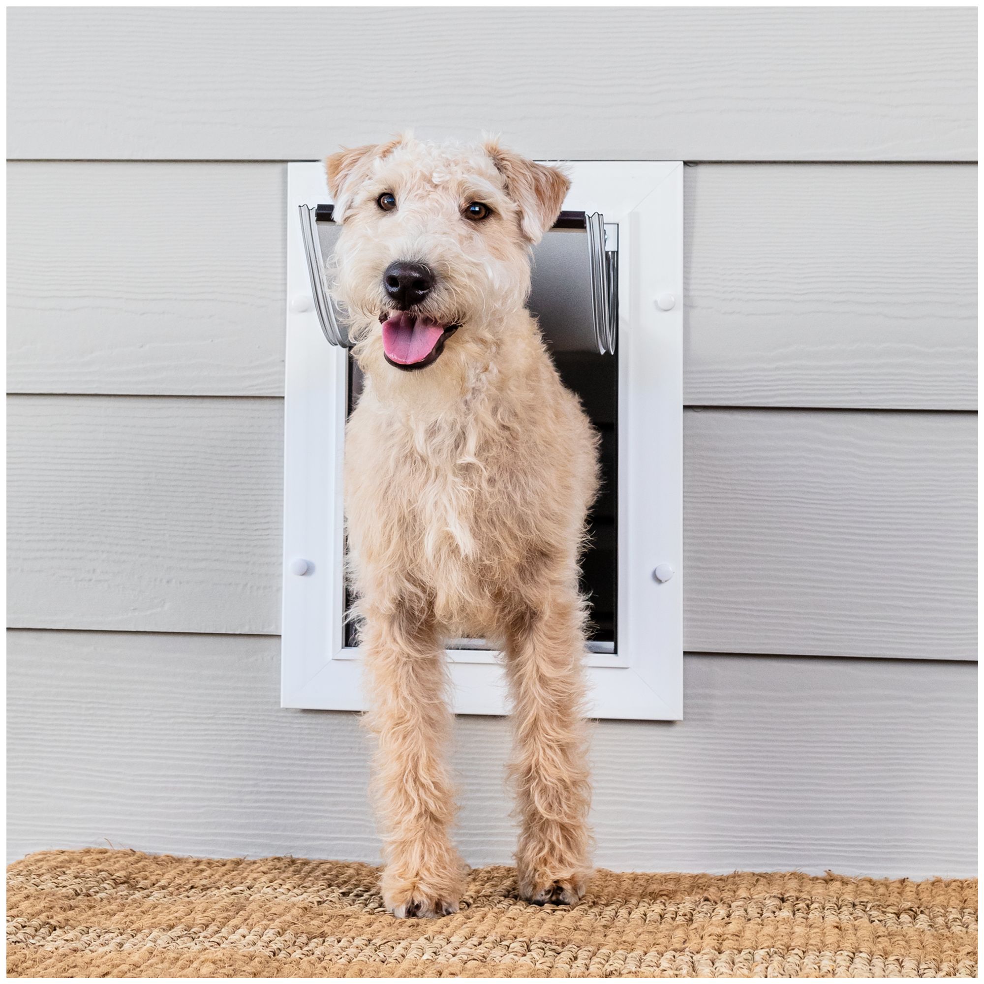 telescoping dog door