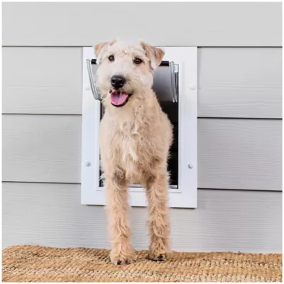 Product PetSafe® Wall Entry Pet Door - DIY Installation - Includes Telescoping Tunnel