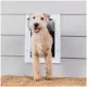 Product PetSafe® Wall Entry Pet Door - DIY Installation - Includes Telescoping Tunnel