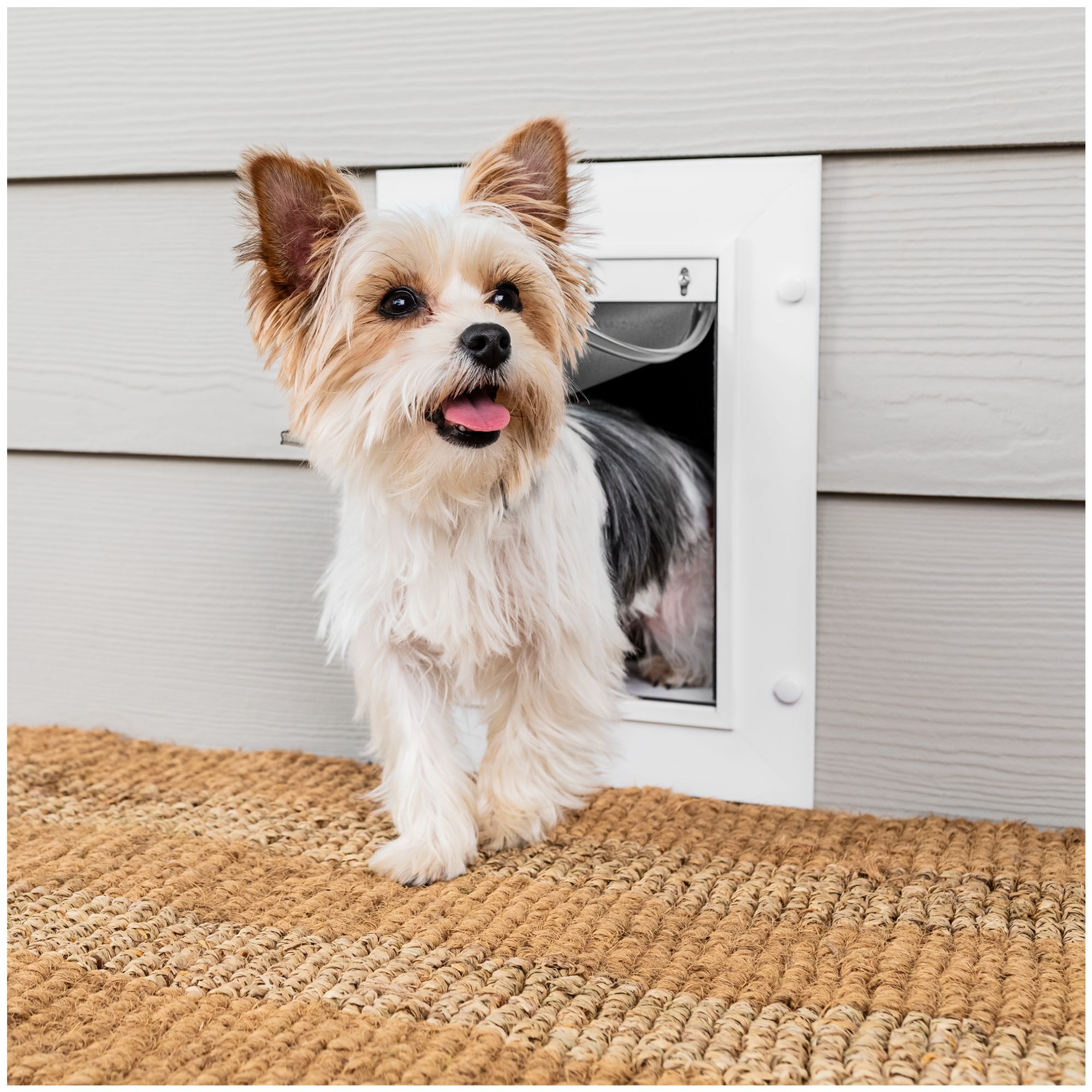 Built in dog door in wall sale