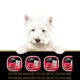 Product Cesar Classic Loaf In Sauce Adult Wet Dog Food Grilled Chicken & Steak Variety Pack, 12ct