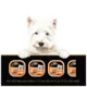 Product Cesar Entrées Classic Loaf in Sauce Adult Dog Wet Food - Grilled Chicken