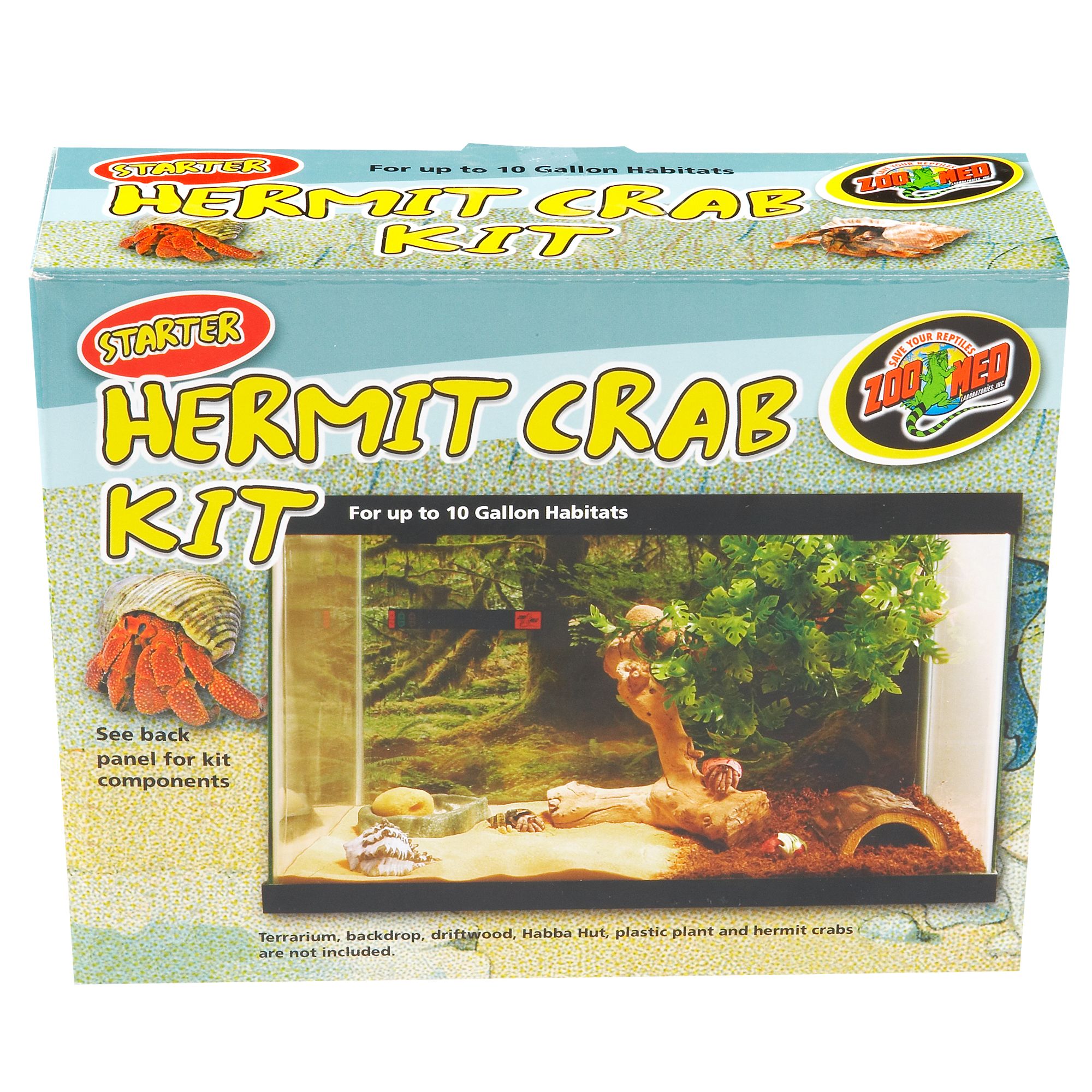 proper hermit crab care