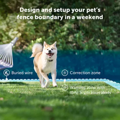 Petsafe super radio fence best sale