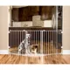 Product Carlson™ Pet Products Flexi Walk-Thru Gate