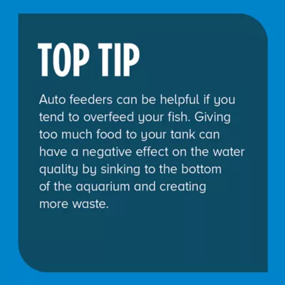 Top Fin® Fin Automatic Fish Feeder - Automatic Fish Food Feeder - Image 5