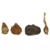 Top Fin® Plant Bulbs image thumbnail 2
