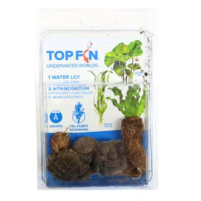 Product Top Fin® Plant Bulbs