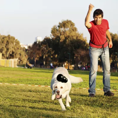 Product KONG® Extreme Dog Toy -Treat Dispensing