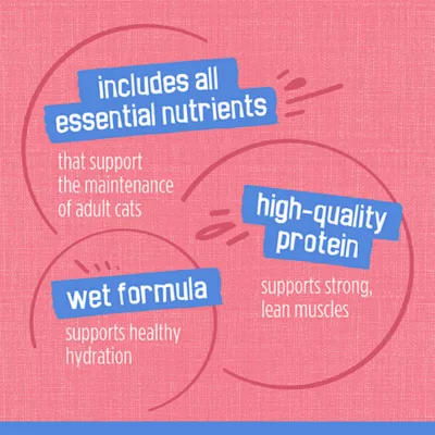 Product Friskies® All Life Stages Cat Wet Food - 6.04 oz.