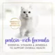 Product Fancy Feast®  All Life Stages Cat Wet Food - Grilled, 3 OZ