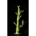 Top Fin® Bamboo Live Plant image thumbnail 1