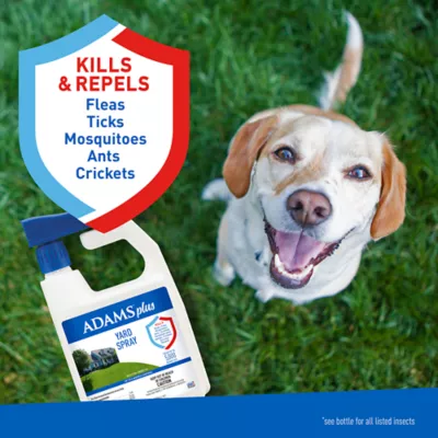 Petsmart flea and tick spray best sale