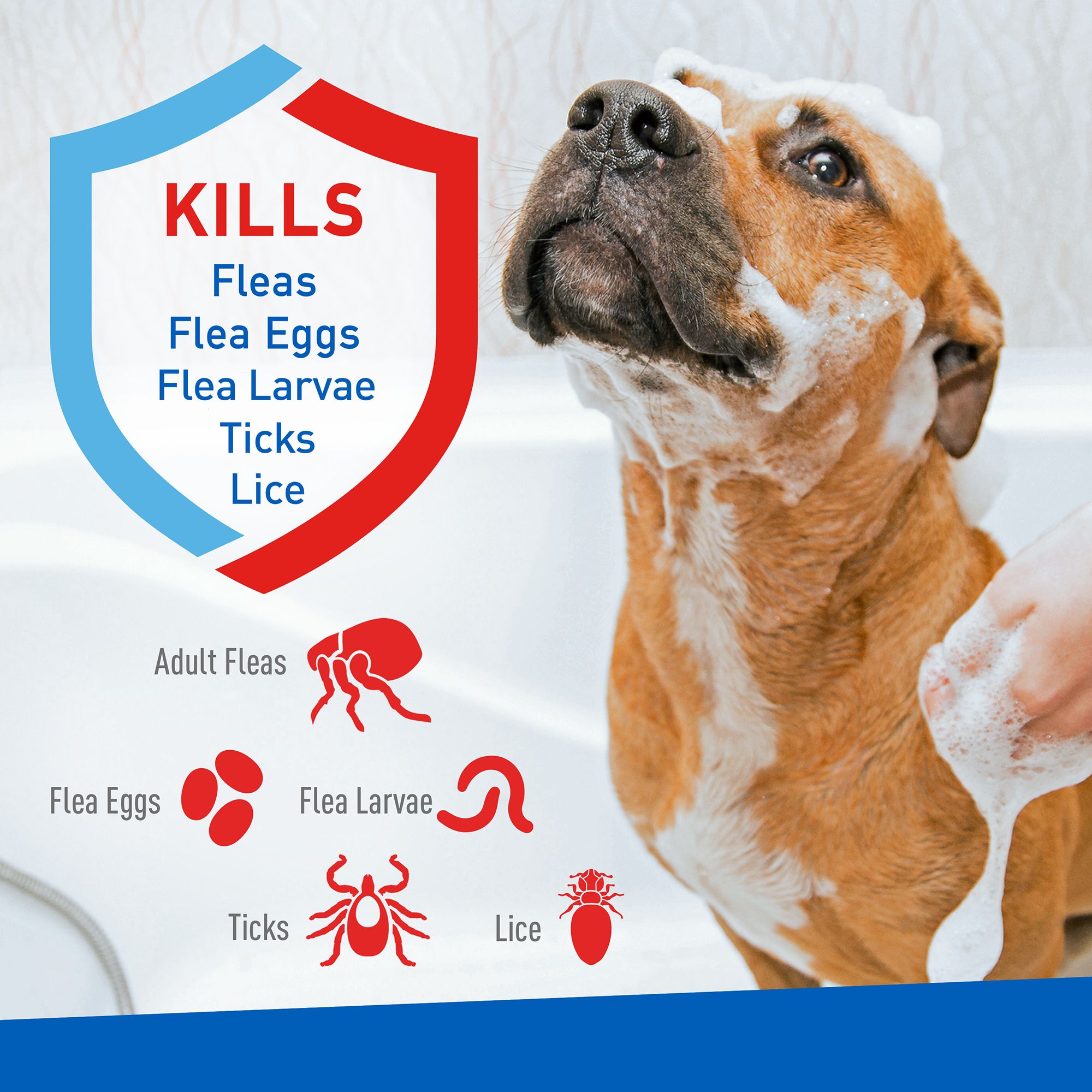 is adams flea and tick shampoo safe