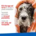 Adams™ Plus Flea & Tick Shampoo image thumbnail 5