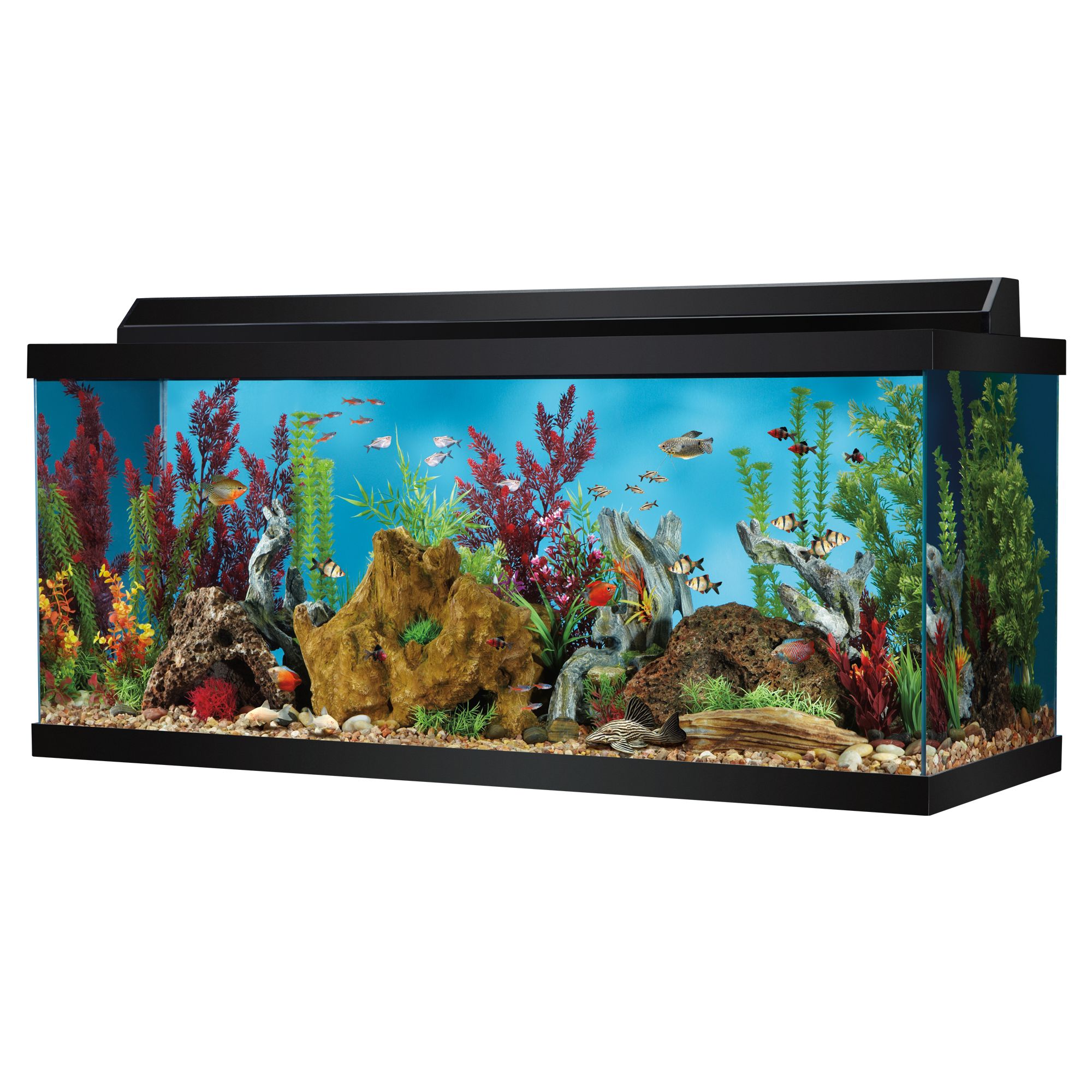 Top Fin\u00ae Hooded Aquarium  fish Aquariums  PetSmart