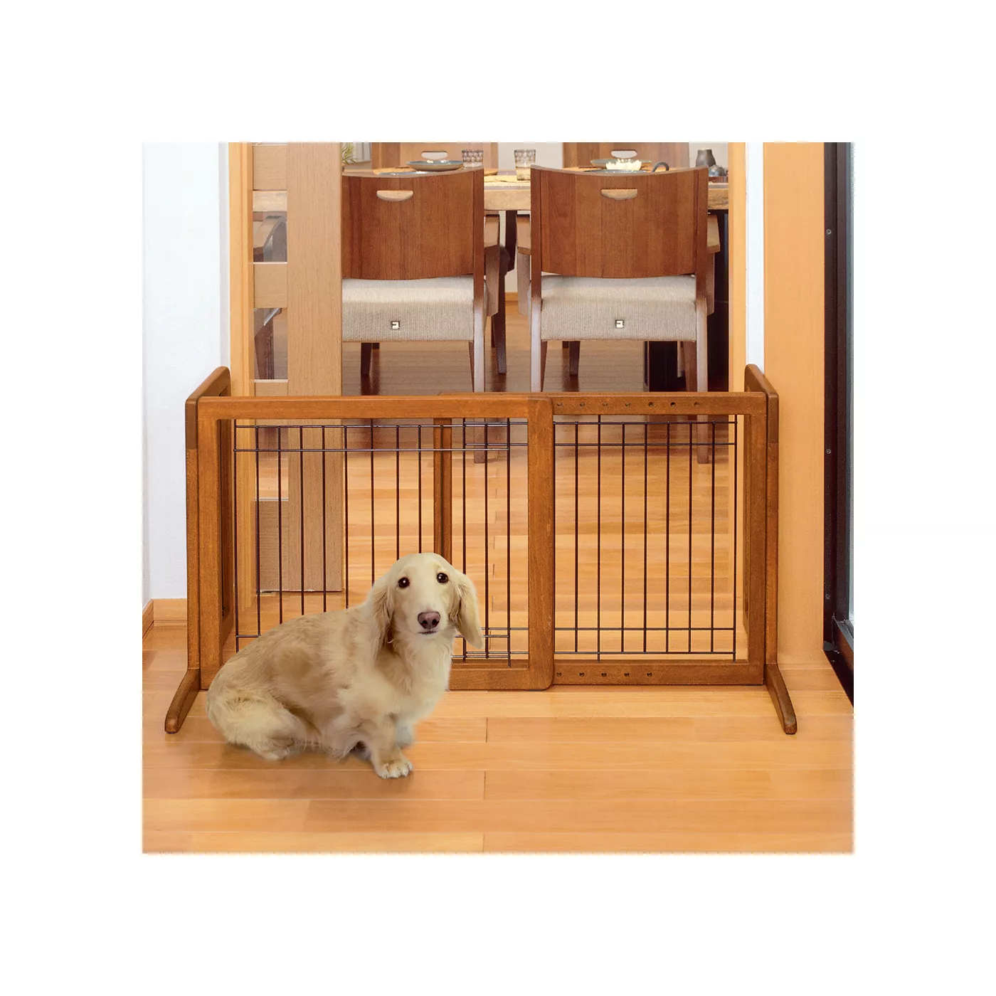 Gates for dogs petsmart best sale