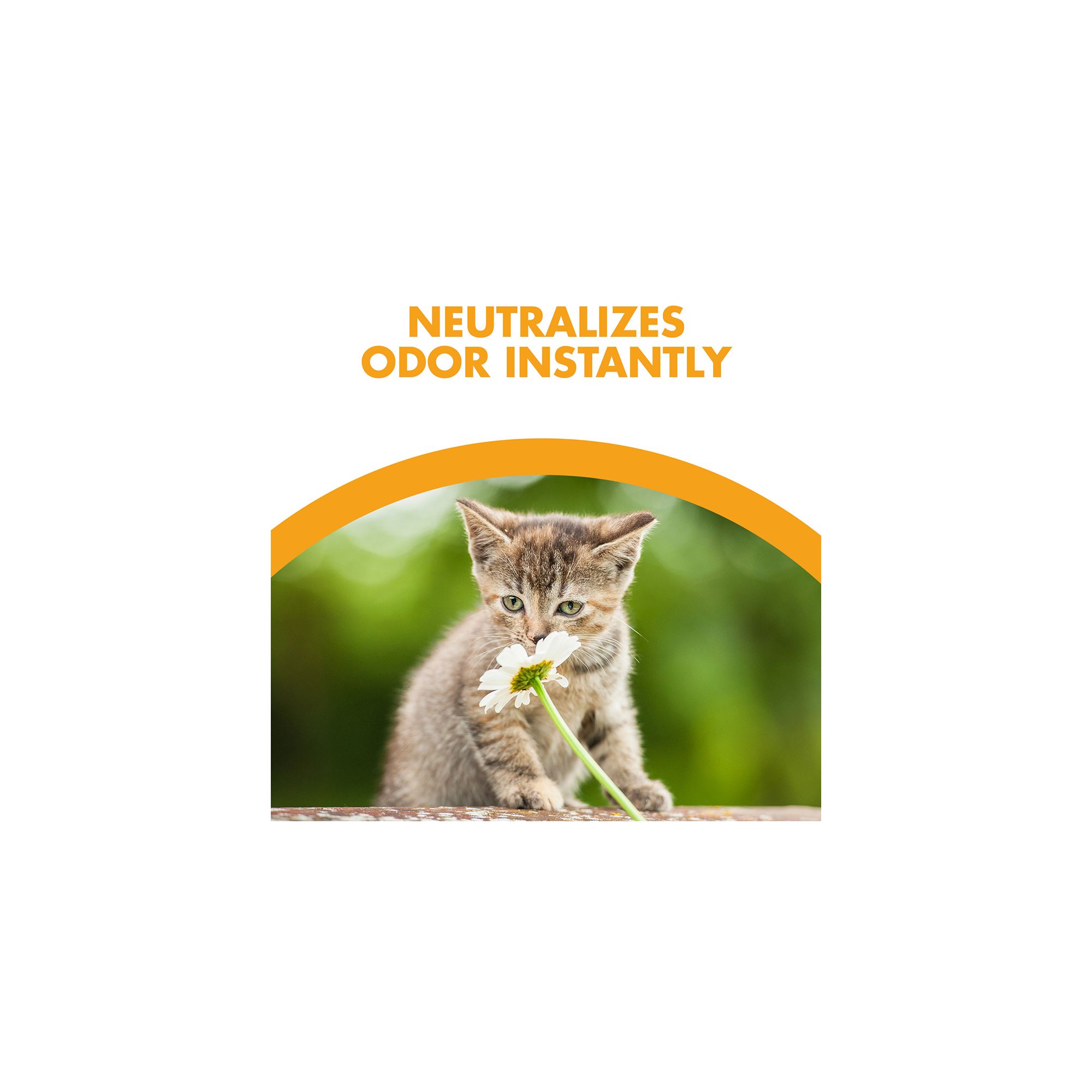 Feline Pine Non-Clumping Pine Cat Litter - Scented, Low Dust, Natural - thumbnail 5