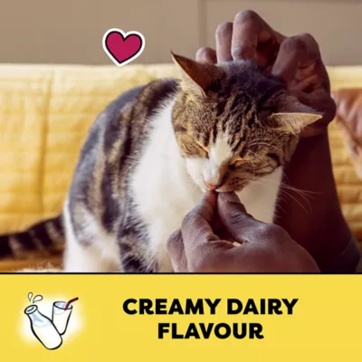 Product Temptations™ Adult Cat Treats - Creamy Dairy Flavour