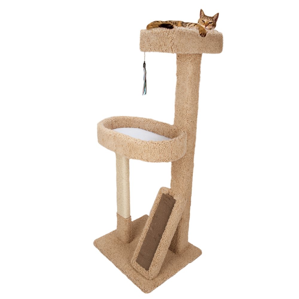 Cat Scratching Posts & Board Scratchers | PetSmart