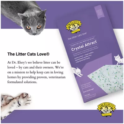 Purple bag cat litter hotsell