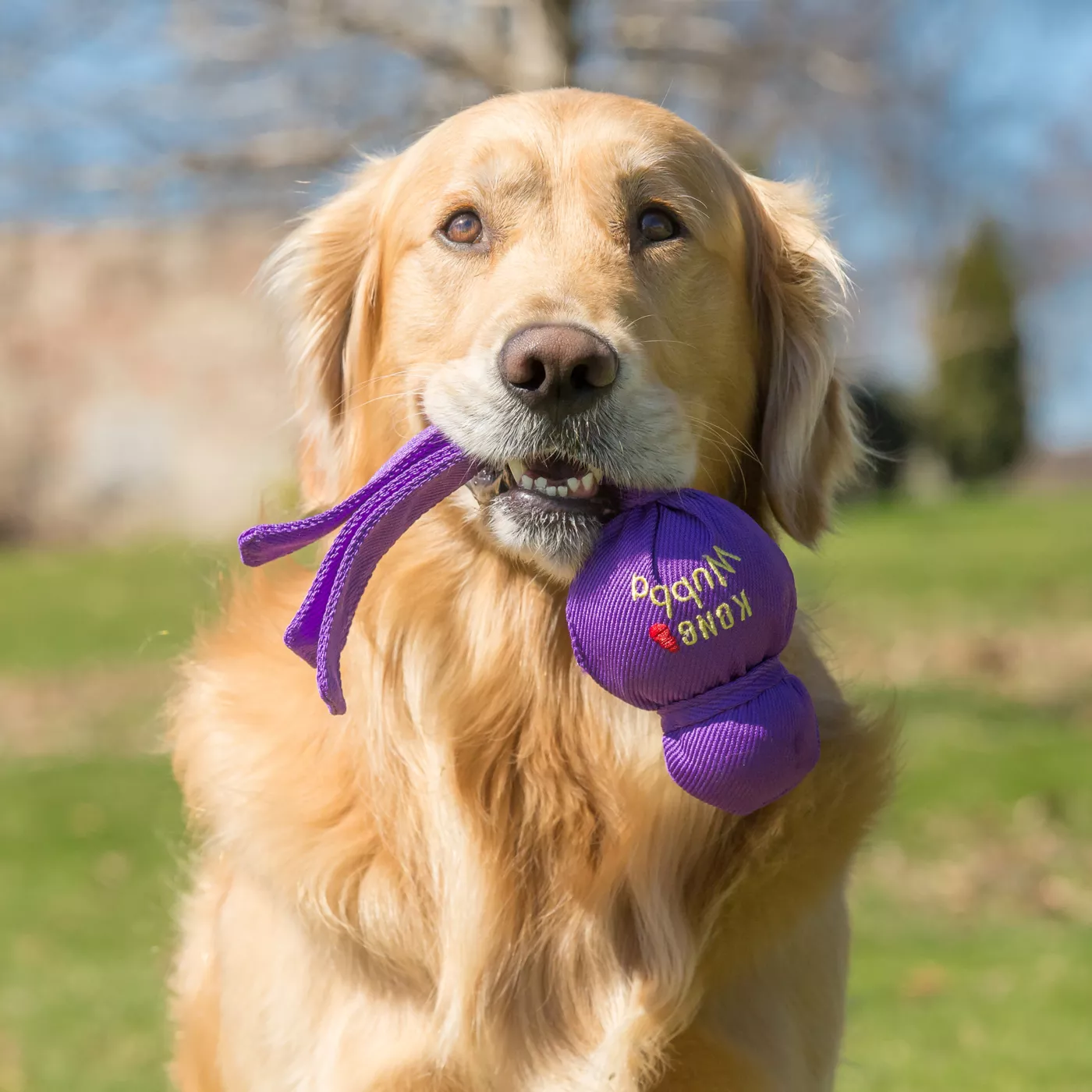 KONG Wubba Dog Toy COLOR VARIES