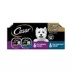 Cesar® Classics Adult Wet Dog Food - Filets in Gravy , 12 Count, Variety Pack image thumbnail 1