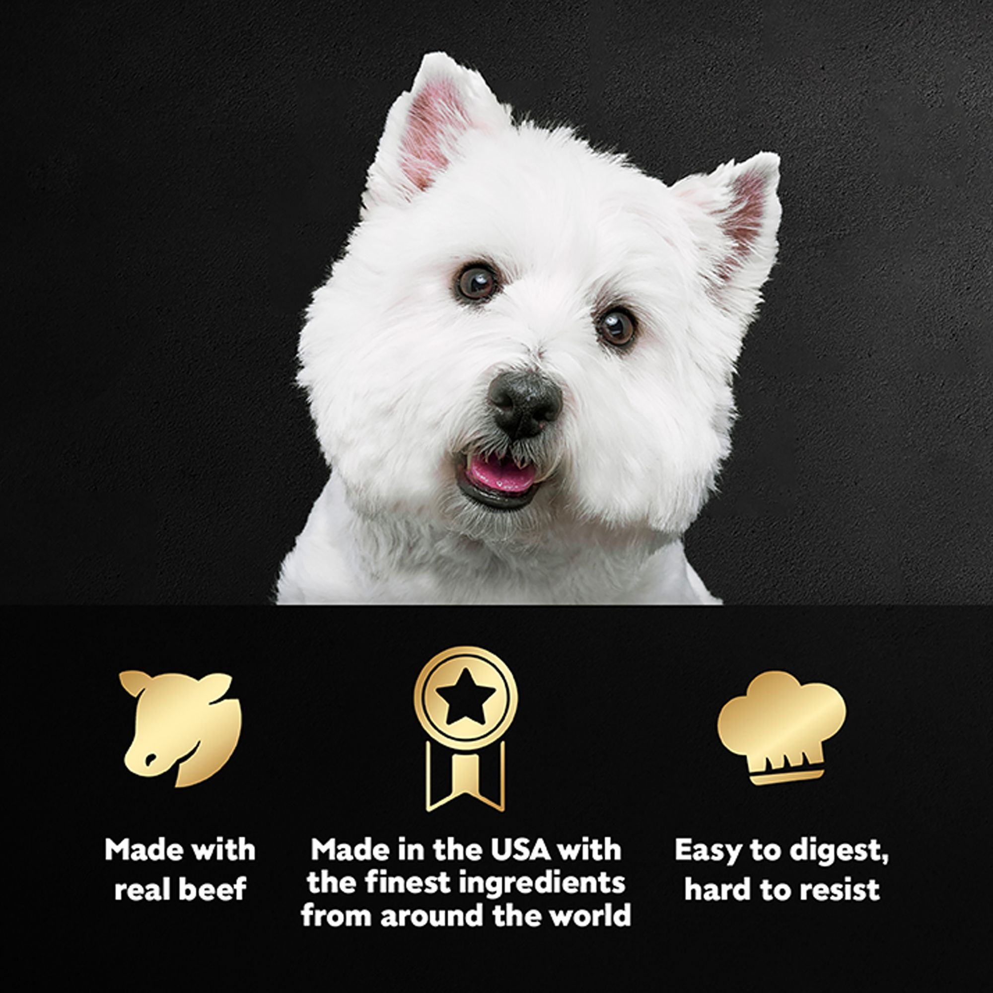 cesar dog food petsmart