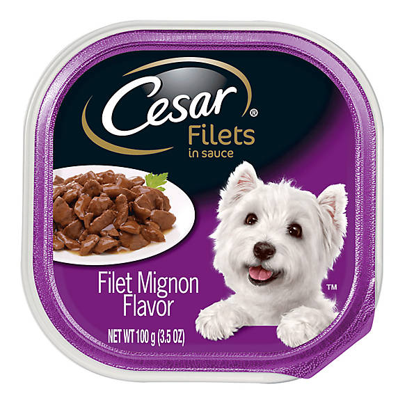 cesar® Gourmet Filets Adult Dog Food | dog Canned Food ...