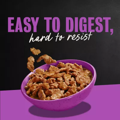 Cesar® Classics Adult Wet Dog Food - Filets in Gravy , 3.5 Oz. - Image 9