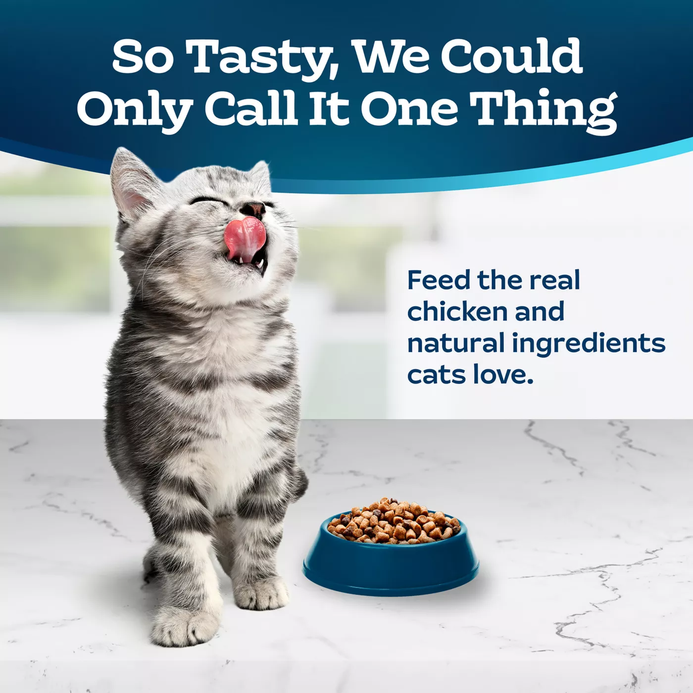 Blue Buffalo Tastefuls Kitten Dry Cat Food Natural Chicken