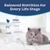 Blue Buffalo Tastefuls Kitten Dry Food - Natural, Chicken & Brown Rice image thumbnail 9