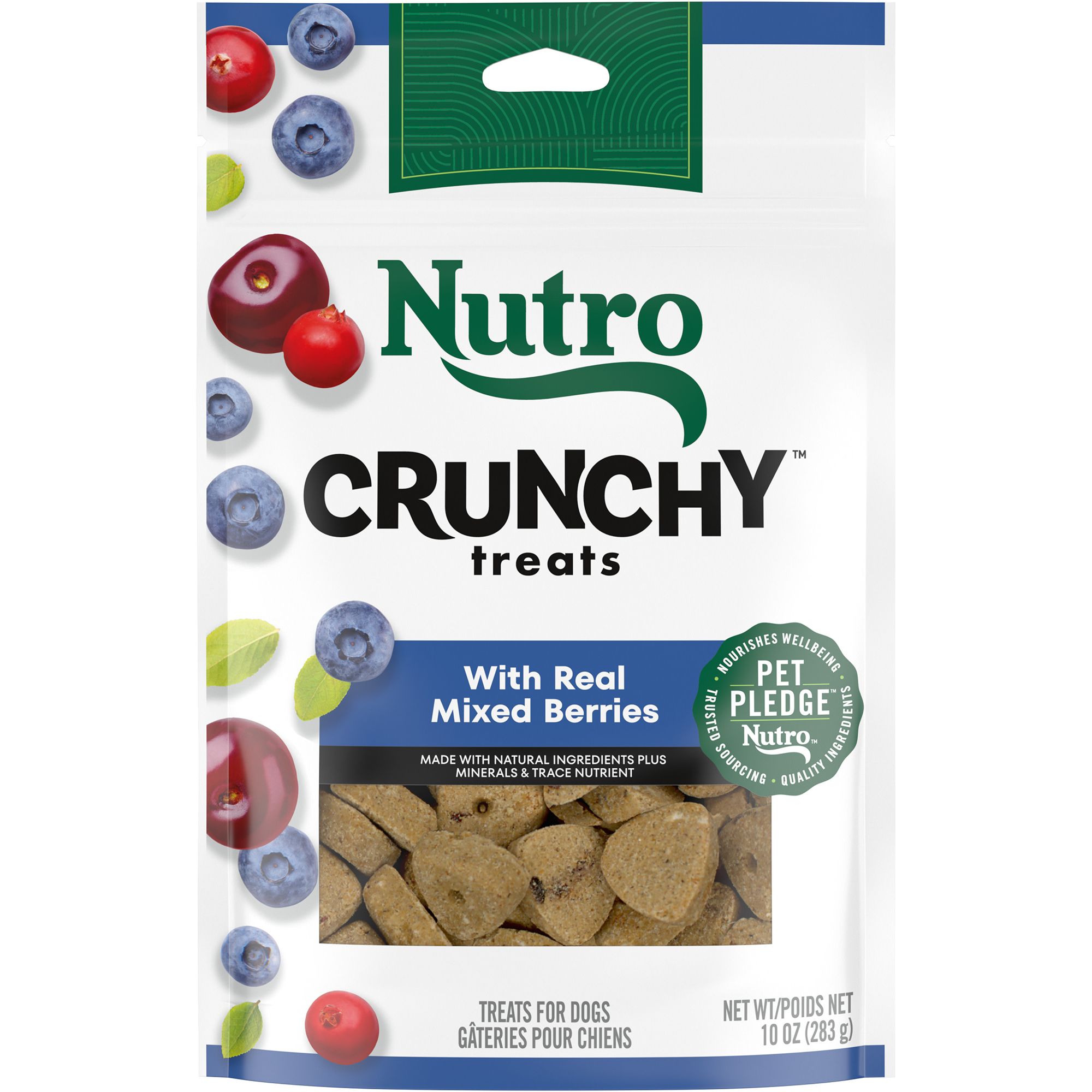 Petsmart nutro 2025 dog food